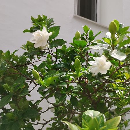 Η Ελπίδα Και Η Γιάννα Ξεκίνησαν Ένα Χώρο Cute Volos Exterior foto