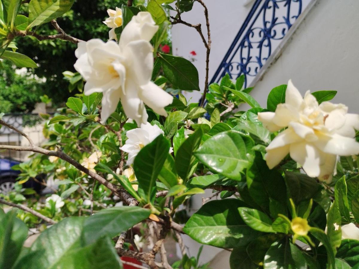 Η Ελπίδα Και Η Γιάννα Ξεκίνησαν Ένα Χώρο Cute Volos Exterior foto